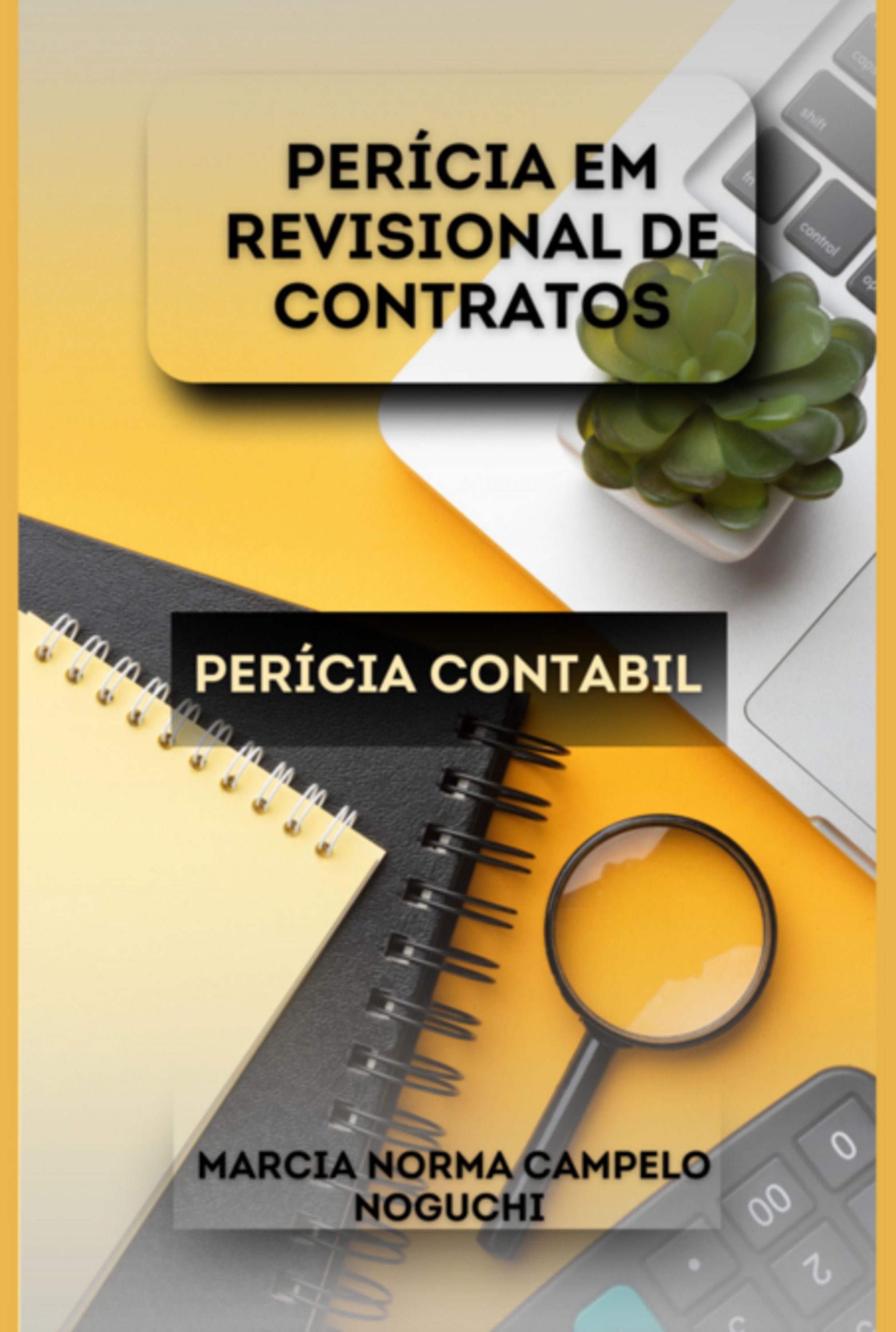 Pericia Em Revisonal Em Contratos