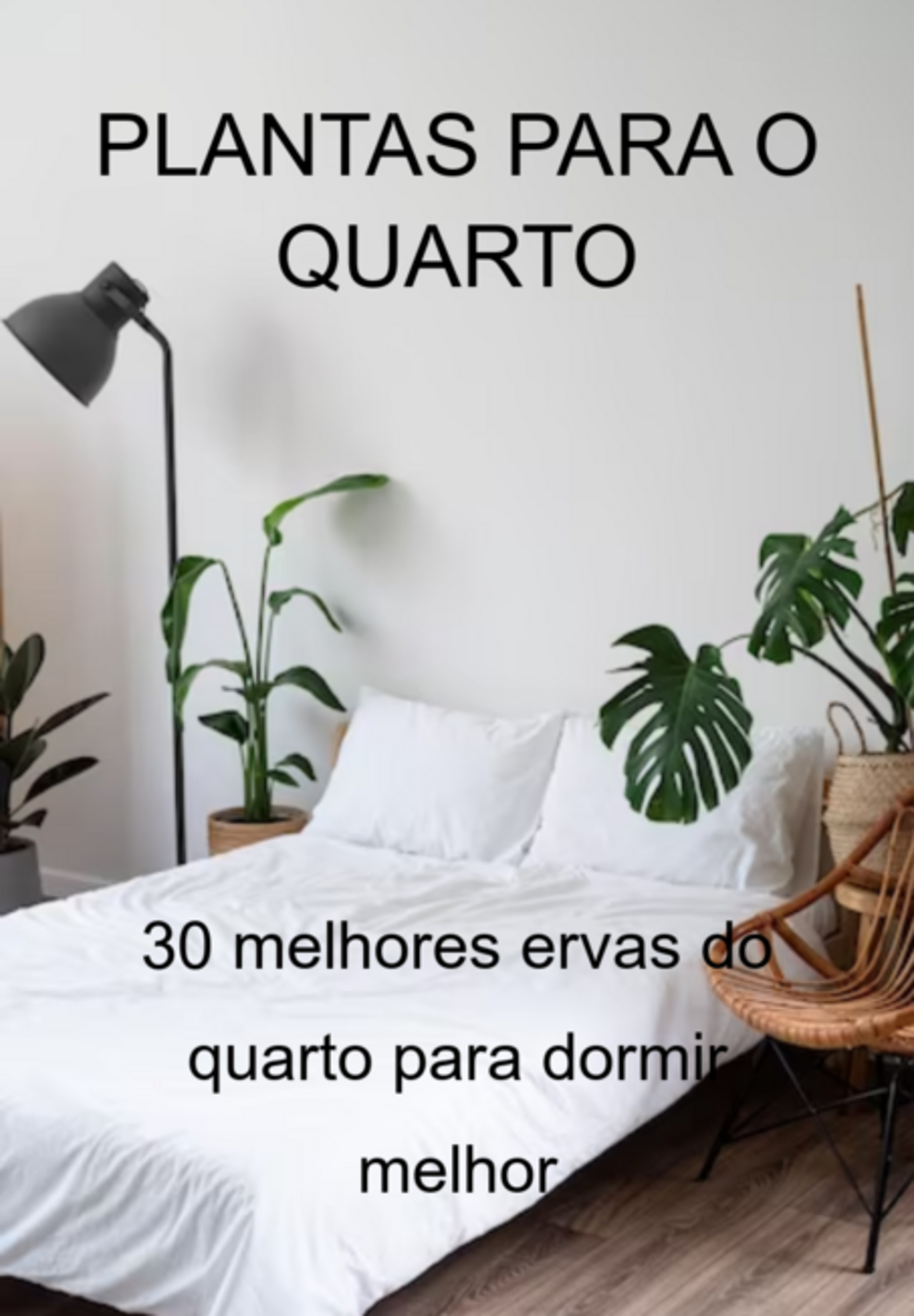 Plantas Para O Quarto