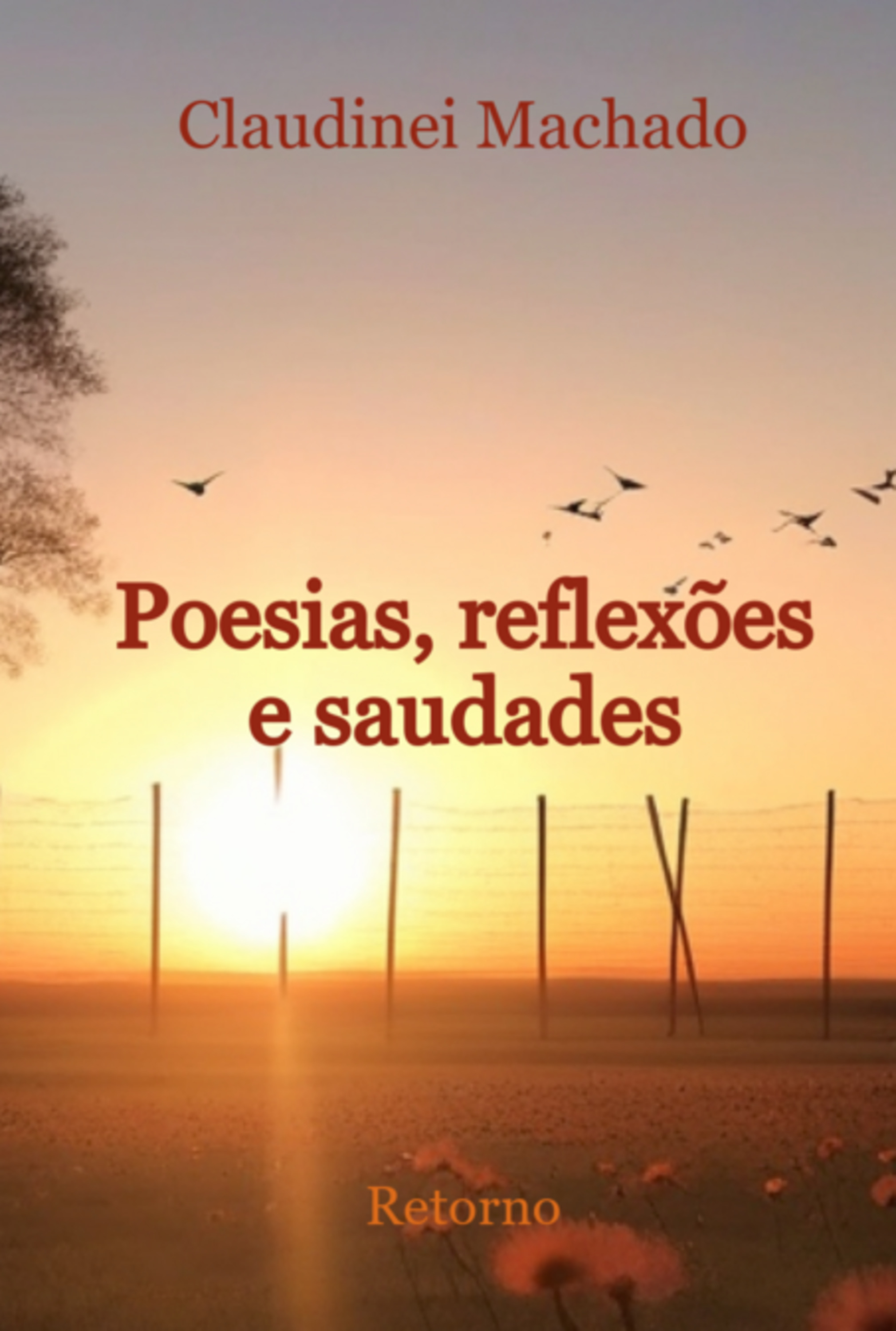 Poesias, Reflexões E Saudades