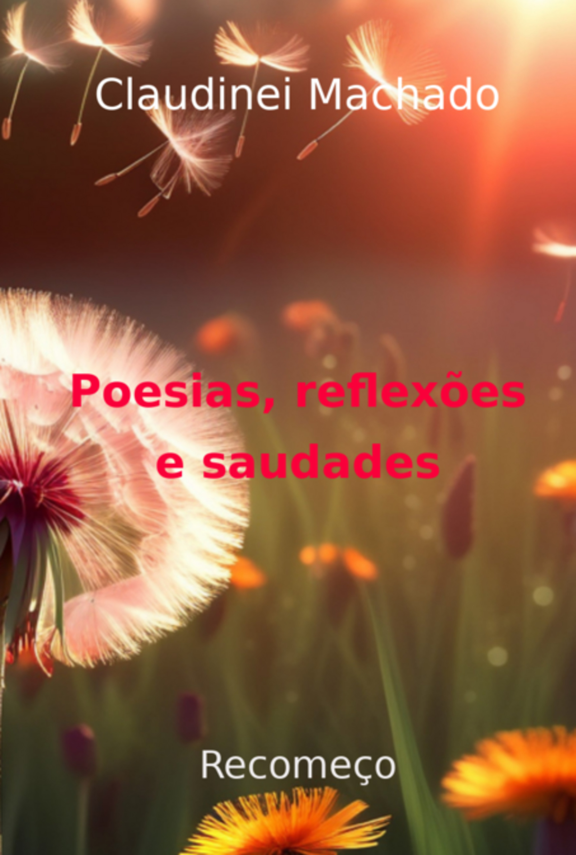 Poesias, Reflexões E Saudades