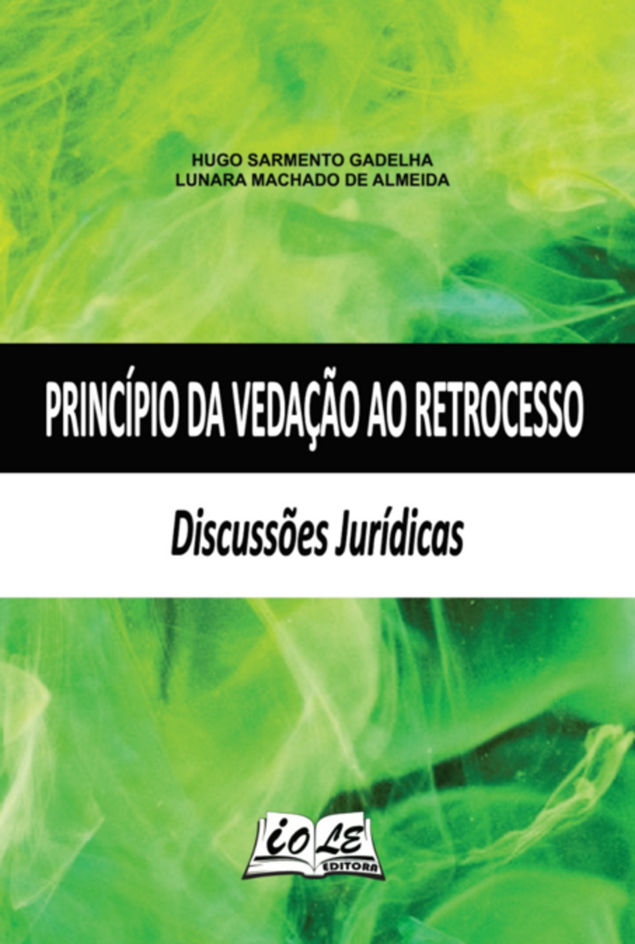 Princípio Da Vedação Ao Retrocesso: Discussões Jurídicas