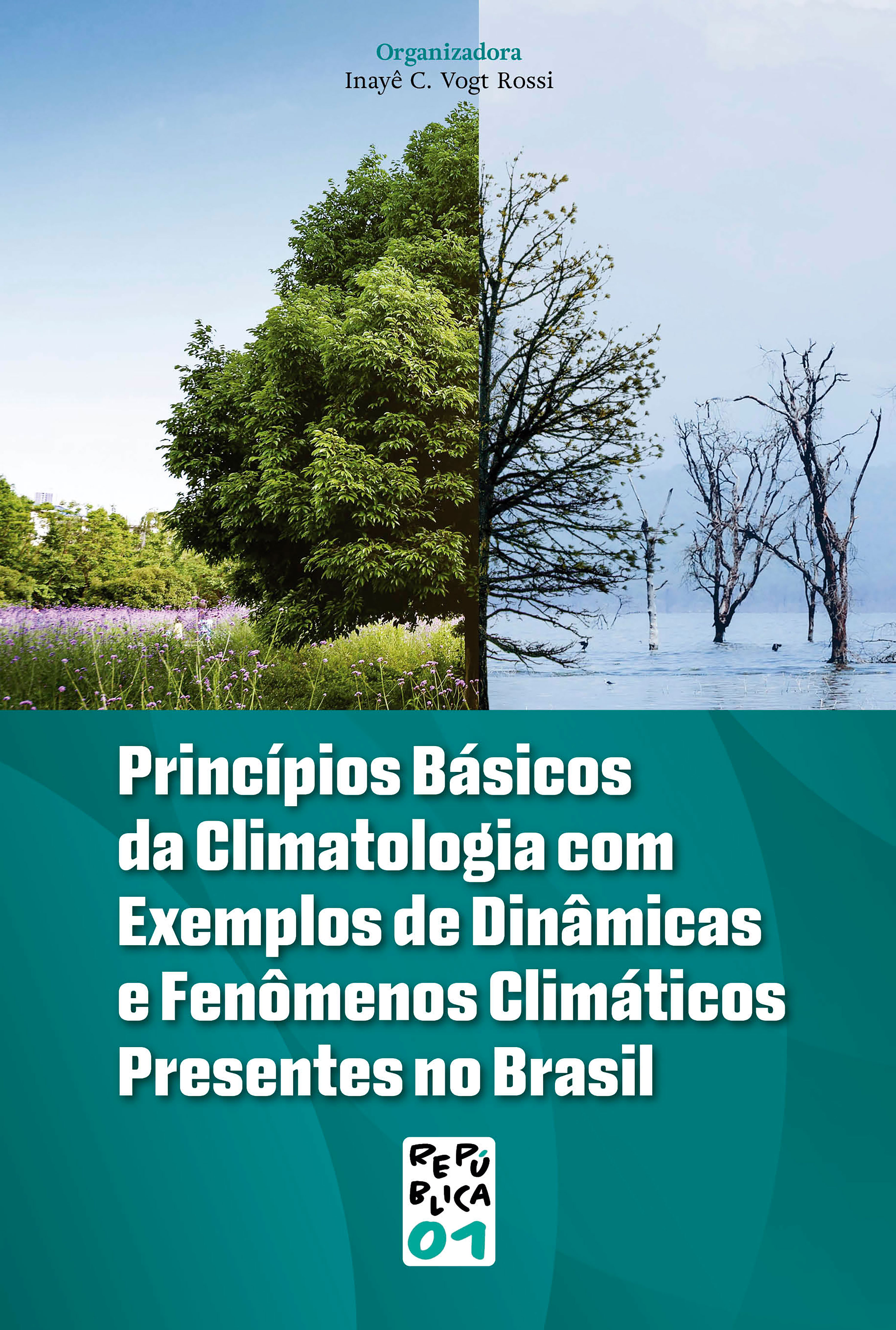Princípios Básicos da Climatologia com Exemplos de Dinâmicas e Fenômenos Climáticos Presentes no Brasil