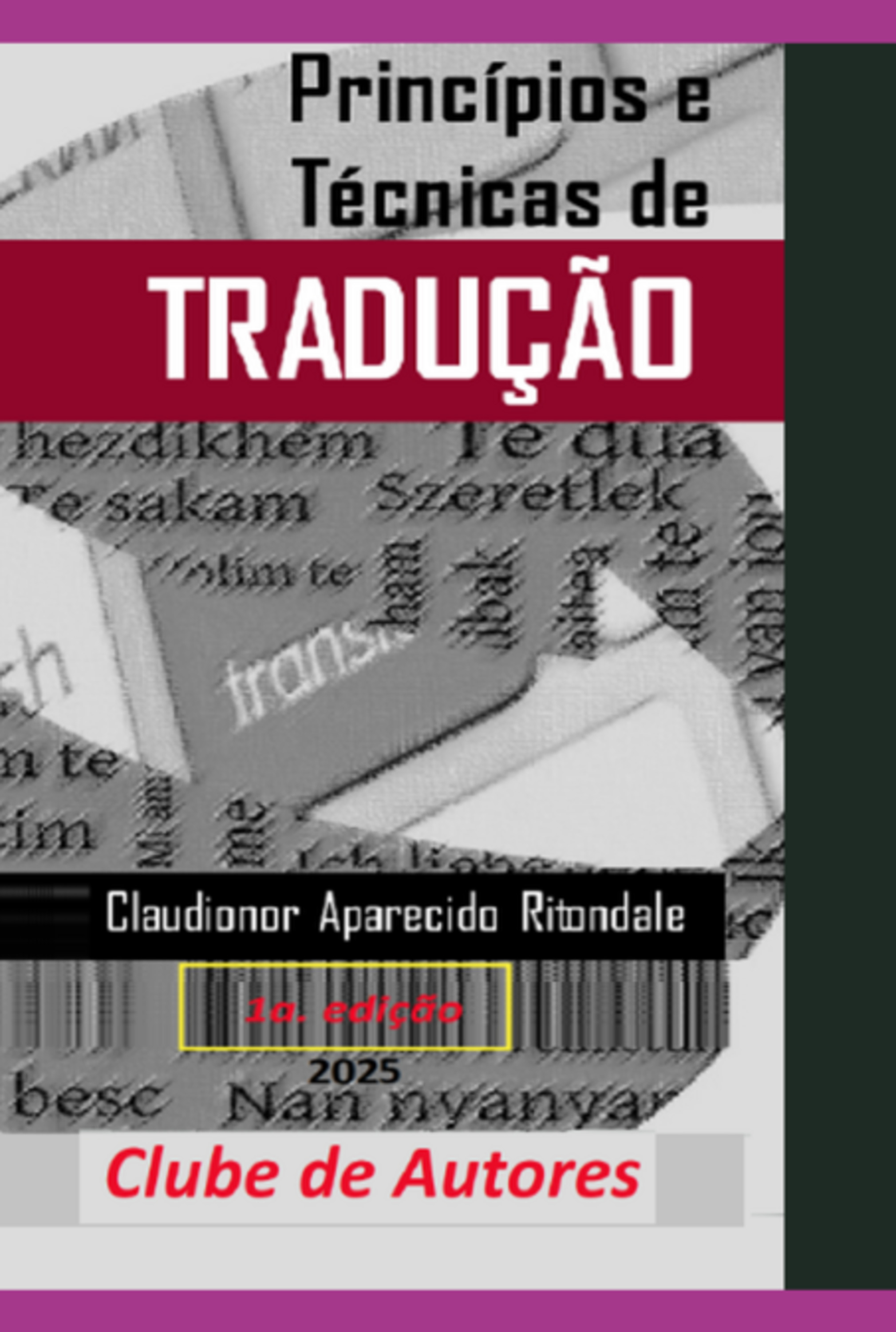 Princípios E Técnicas De Tradução