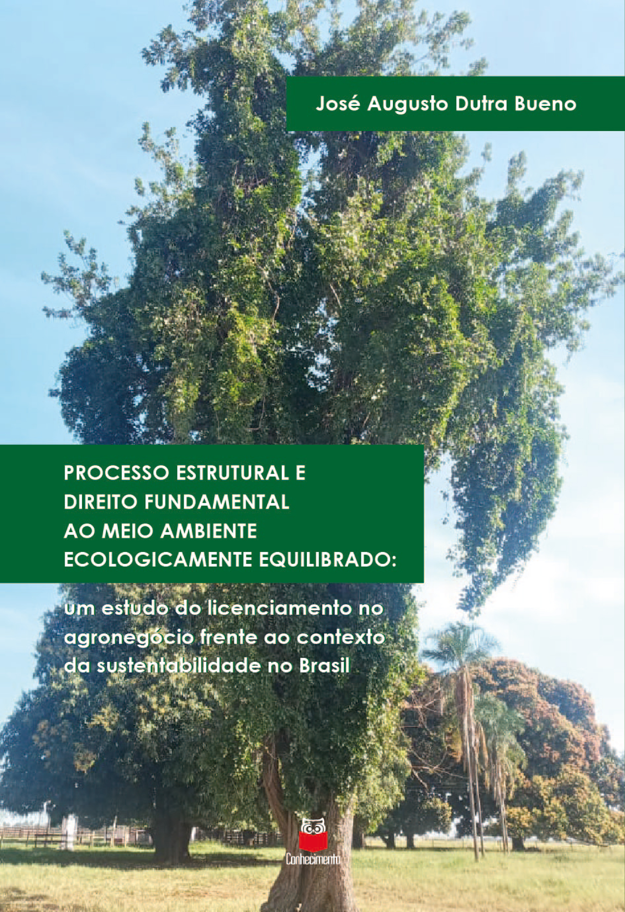 Processo Estrutural e Direito Fundamental ao Meio Ambiente Ecologicamente Equilibrado: