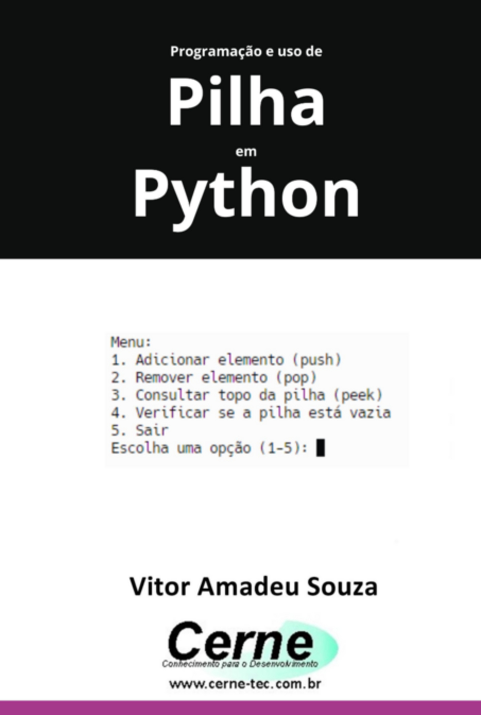 Programação E Uso De Pilha Em Python