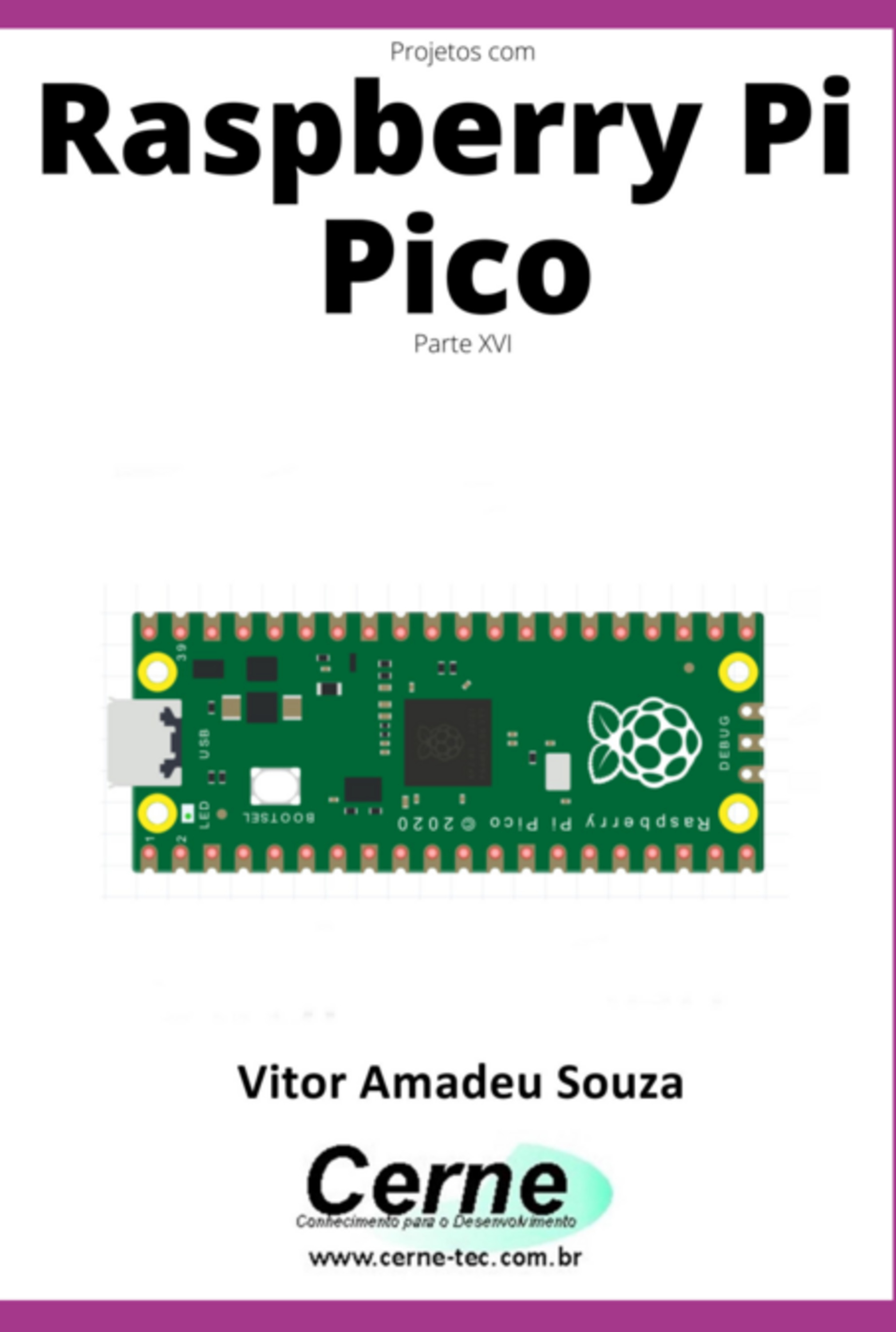 Projetos Com Raspberry Pi Pico Parte Xvi