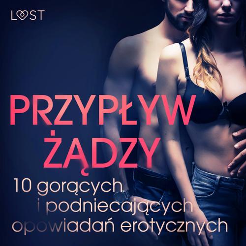 Przypływ żądzy - 10 gorących i podniecających opowiadań erotycznych B. J. Hermanssona