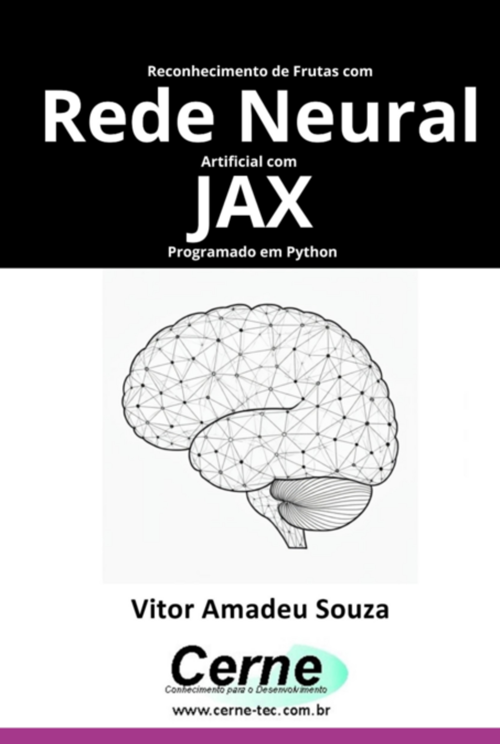 Reconhecimento De Frutas Com Rede Neural Artificial Com Jax Programado Em Python