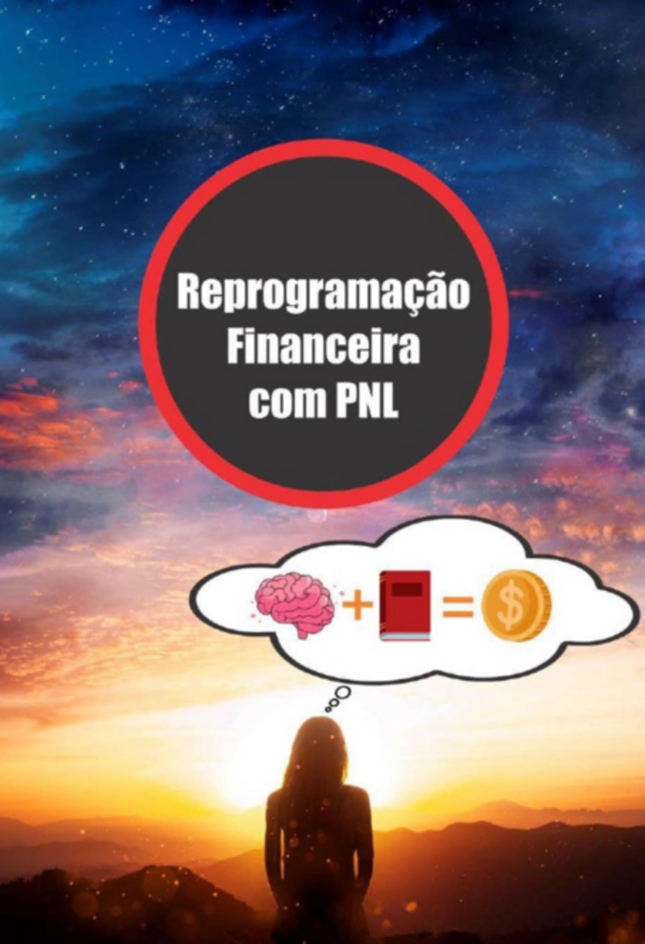 Reprogramação Financeira Com Pnl