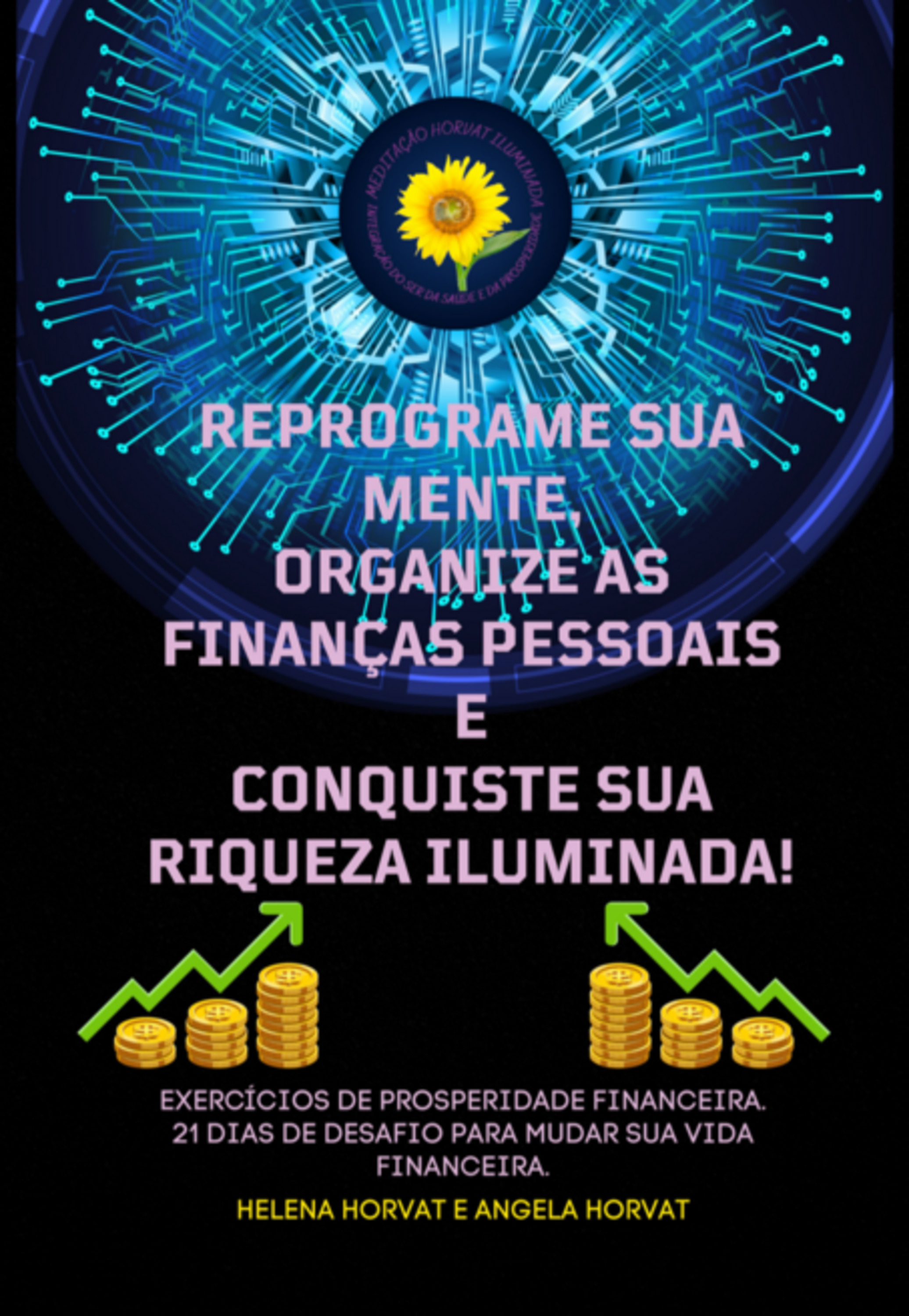 Reprograme Sua Mente, Organize As Finanças Pessoais E Conquiste Sua Riqueza Iluminada