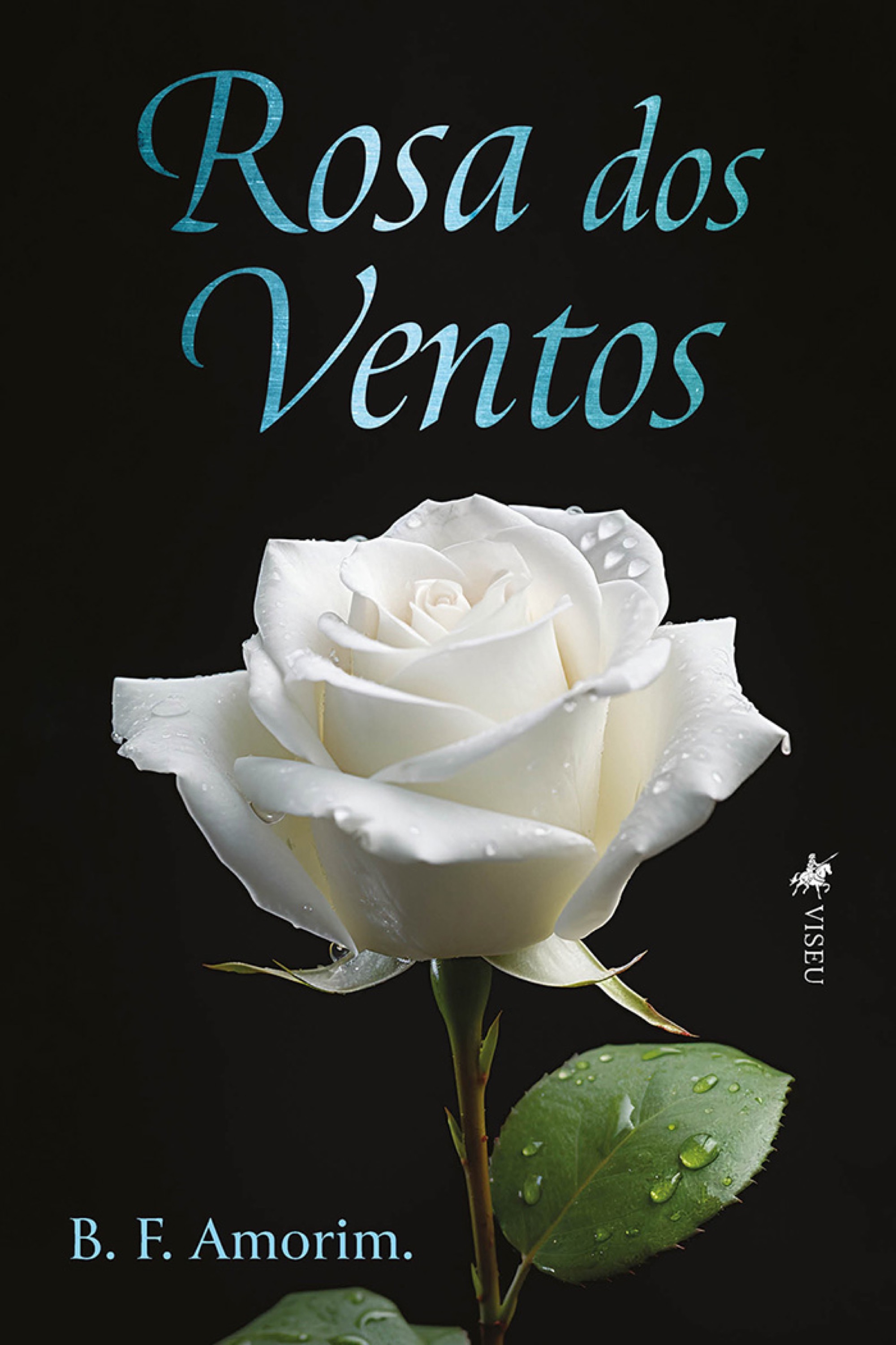 Rosa Dos Ventos