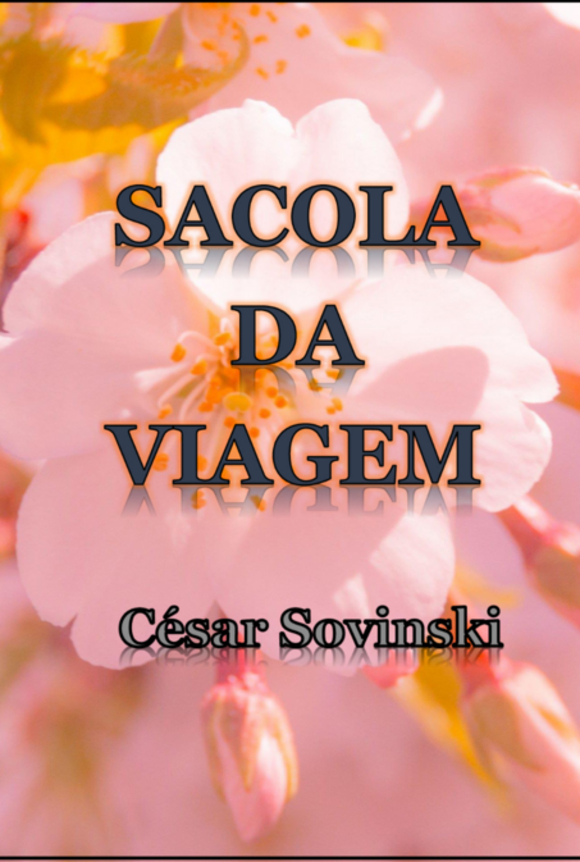 Sacola Da Viagem