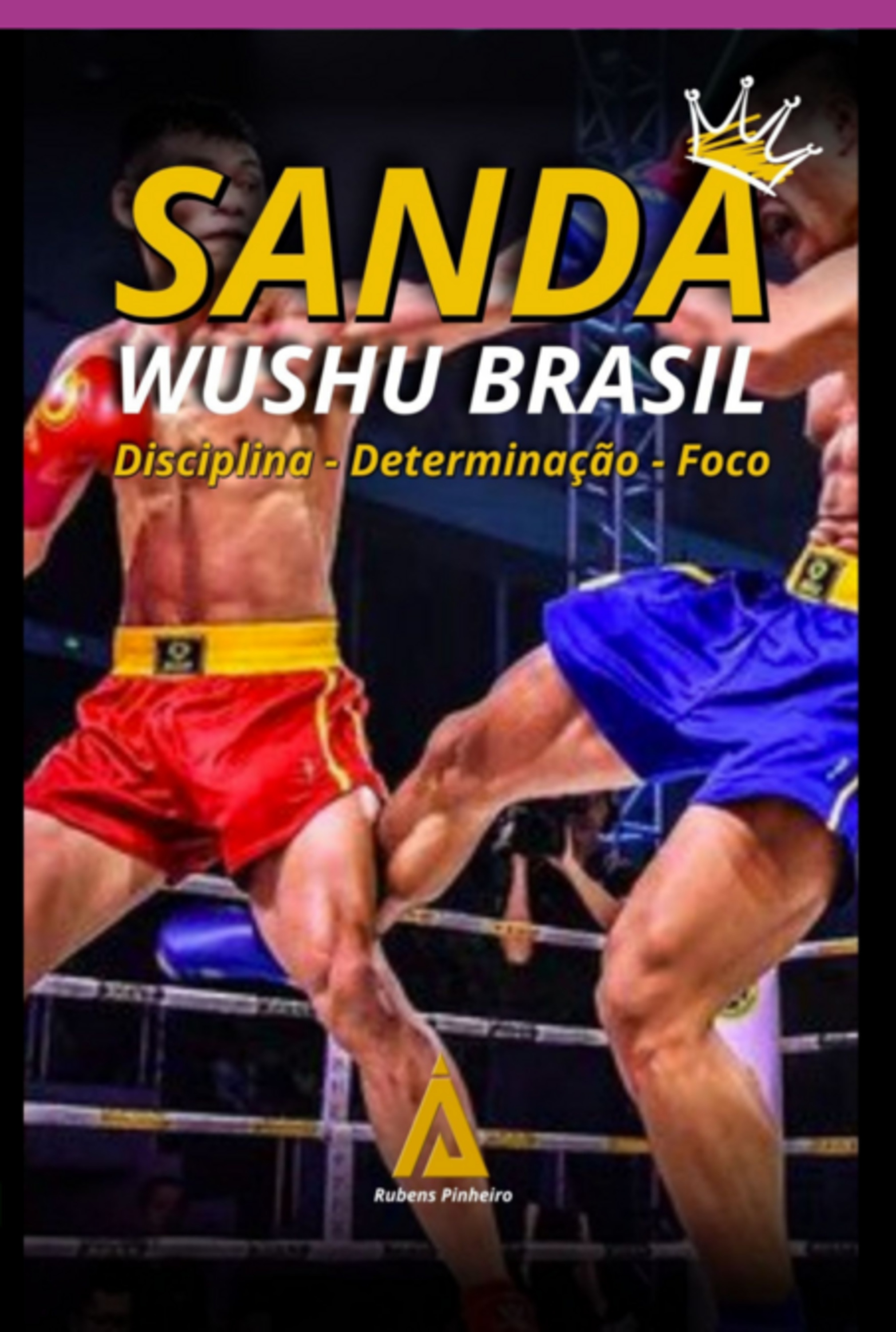 Sanda Wushu Brasil