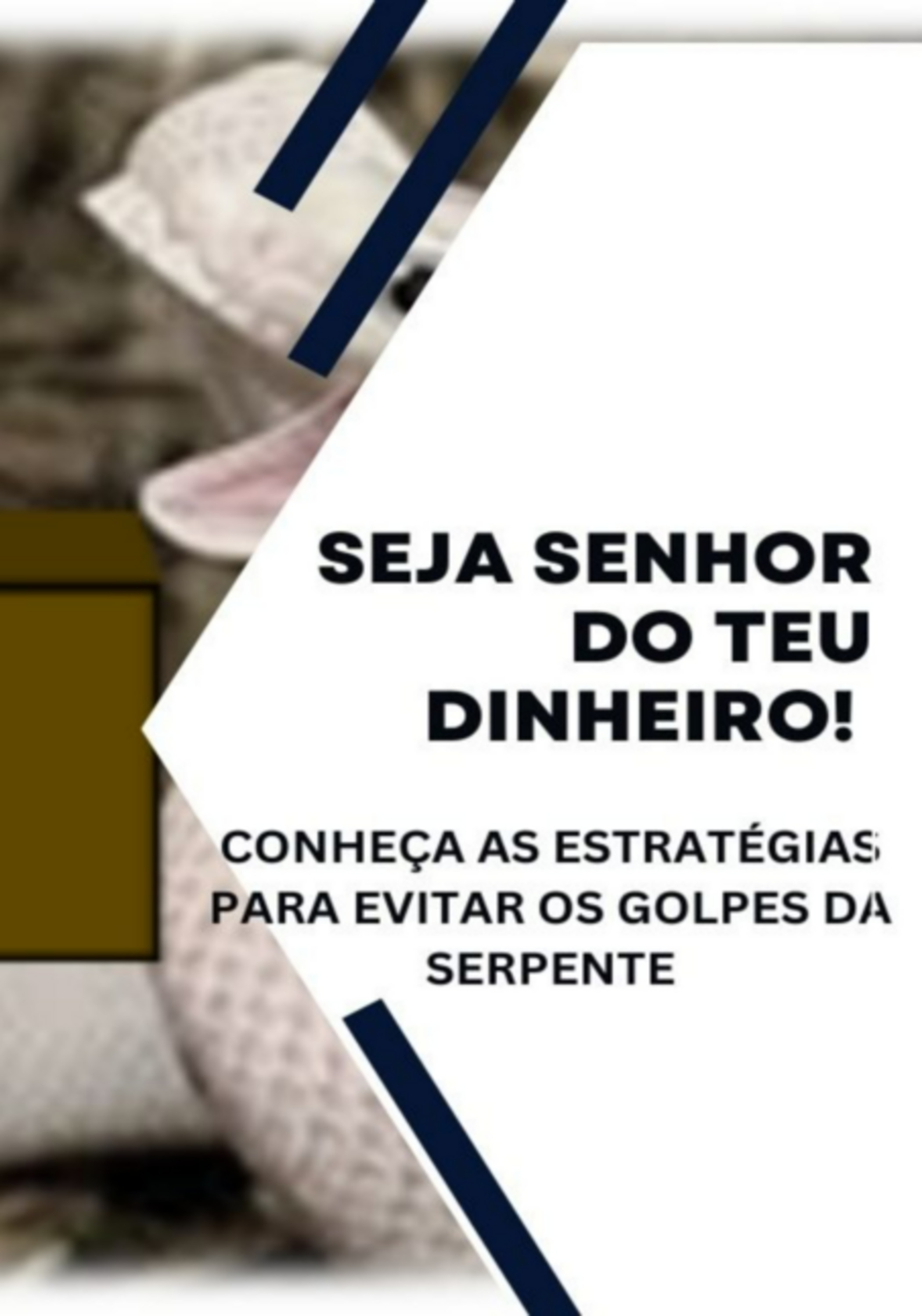 Seja Senhor Do Teu Dinheiro!