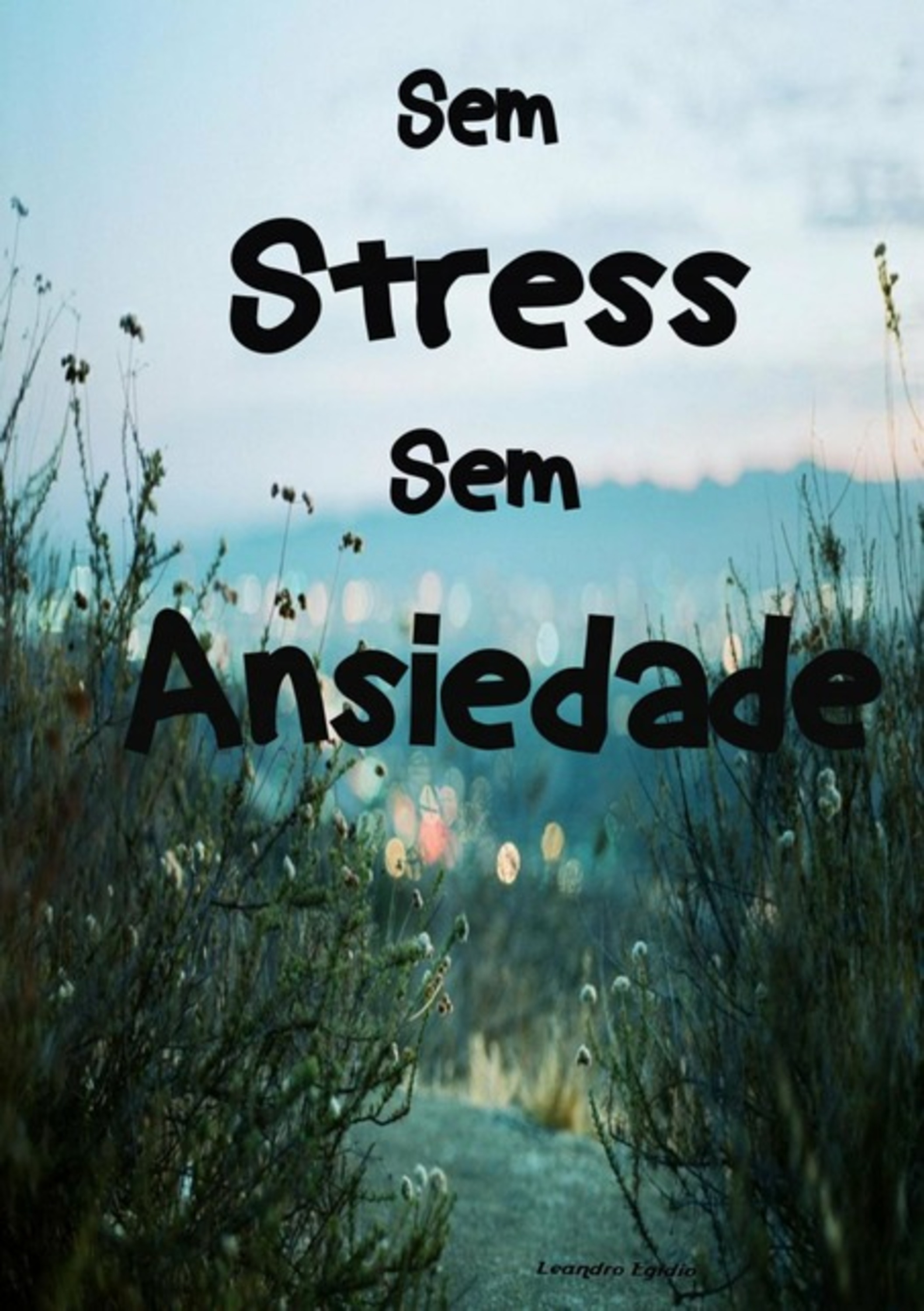 Sem Stress Sem Ansiedade