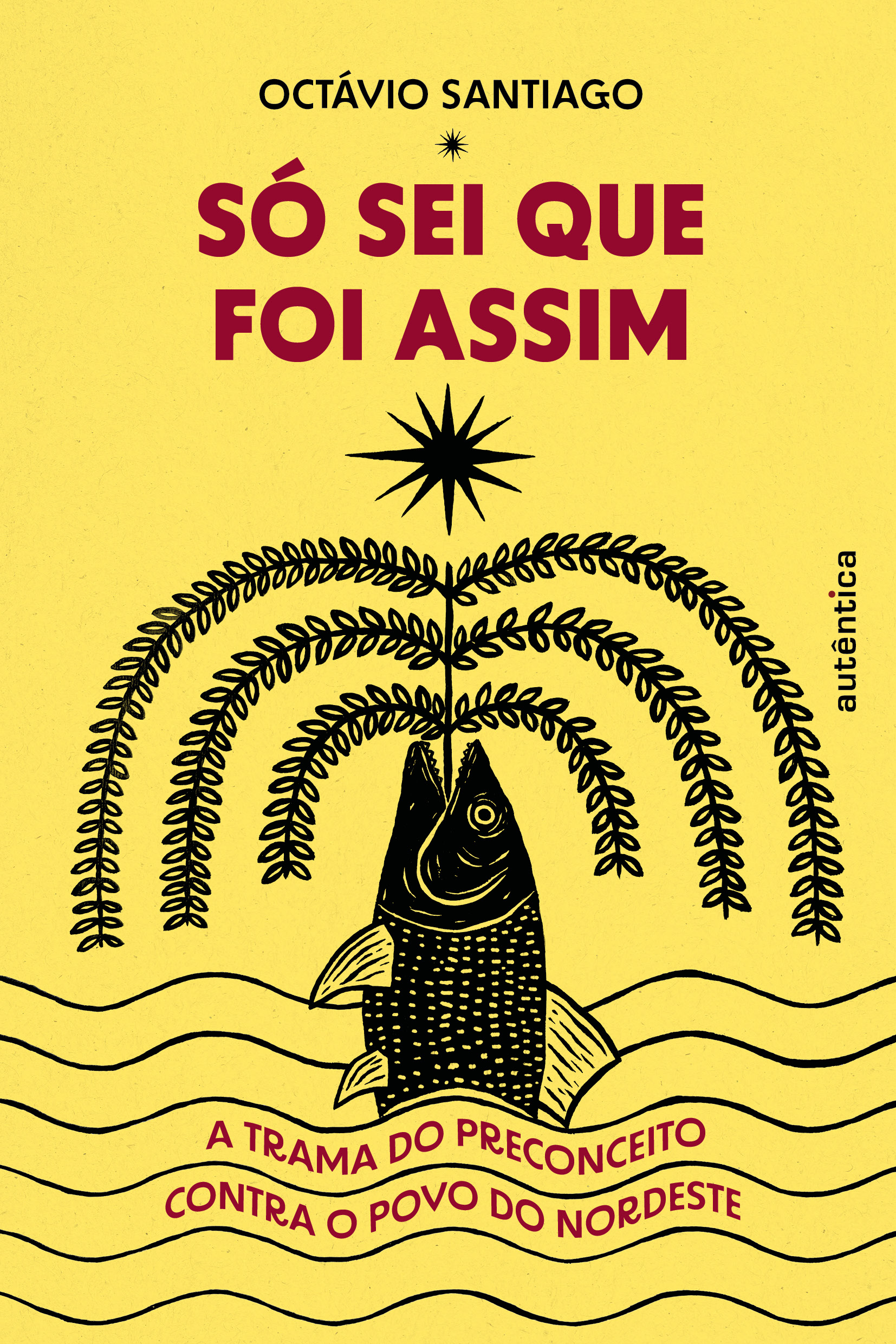 Só sei que foi assim