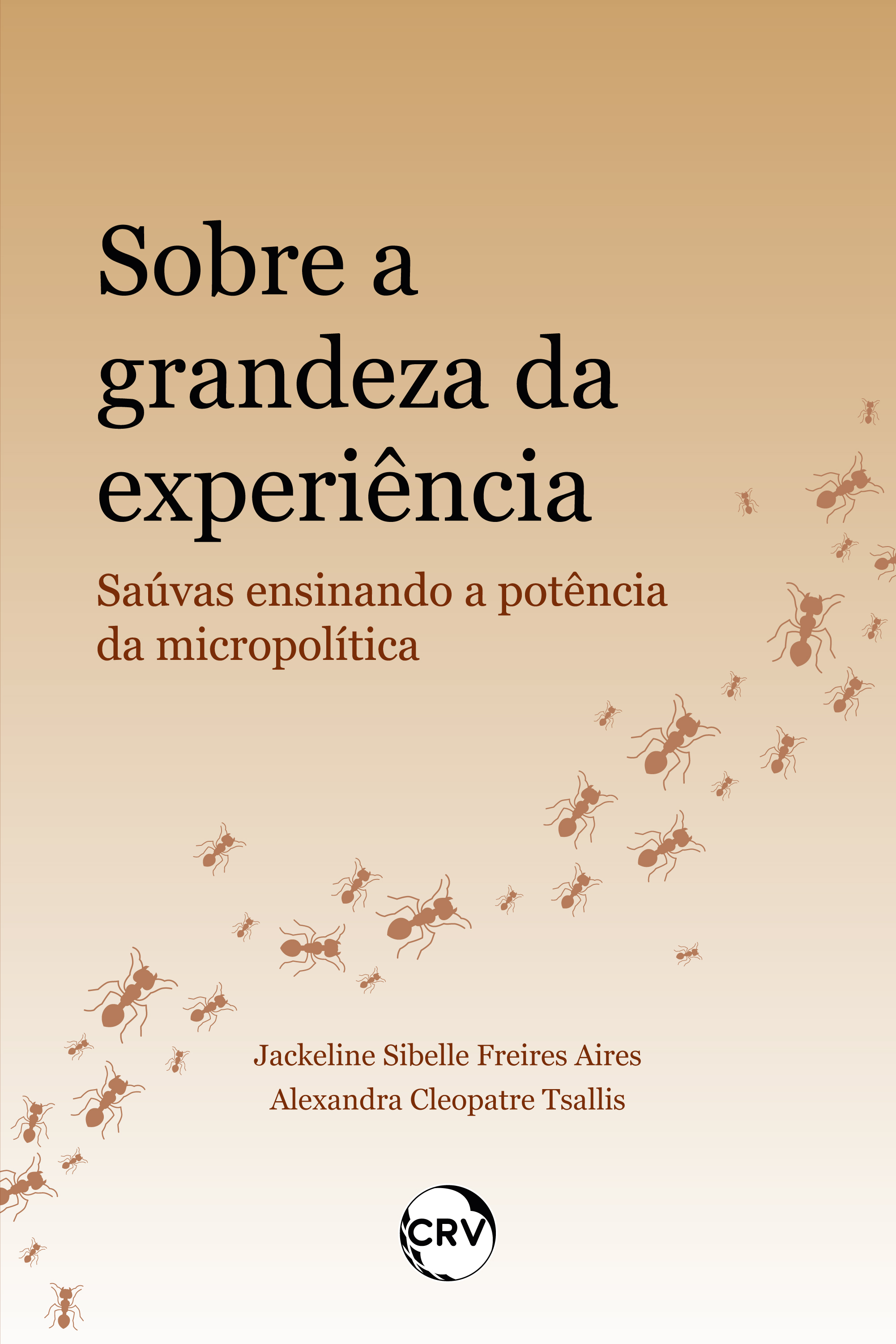 Sobre a grandeza da experiência