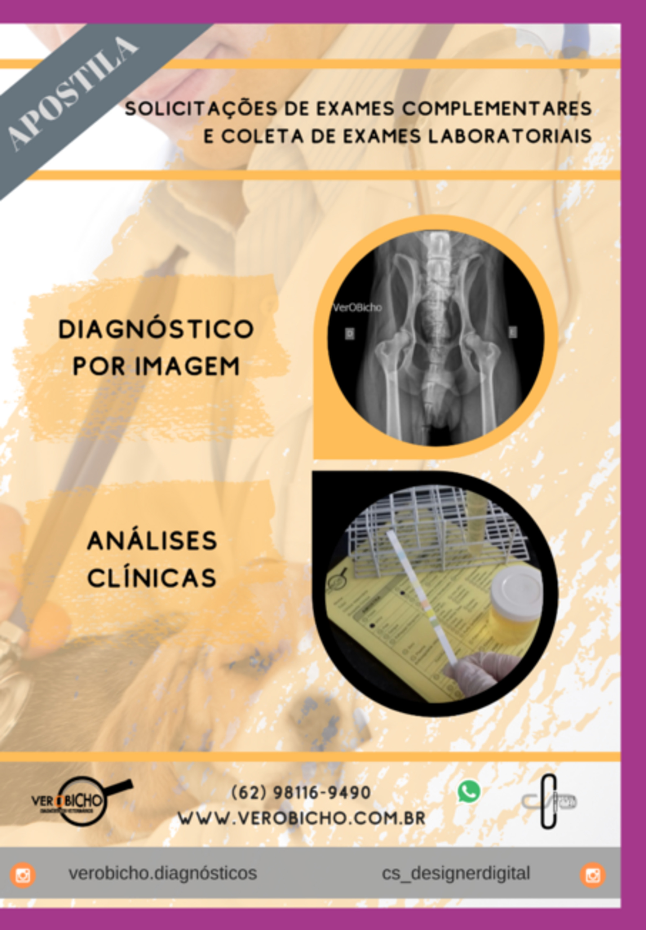 Solicitações De Exames Complementares E Coleta De Exames Laboratoriais