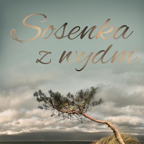 Sosenka z wydm