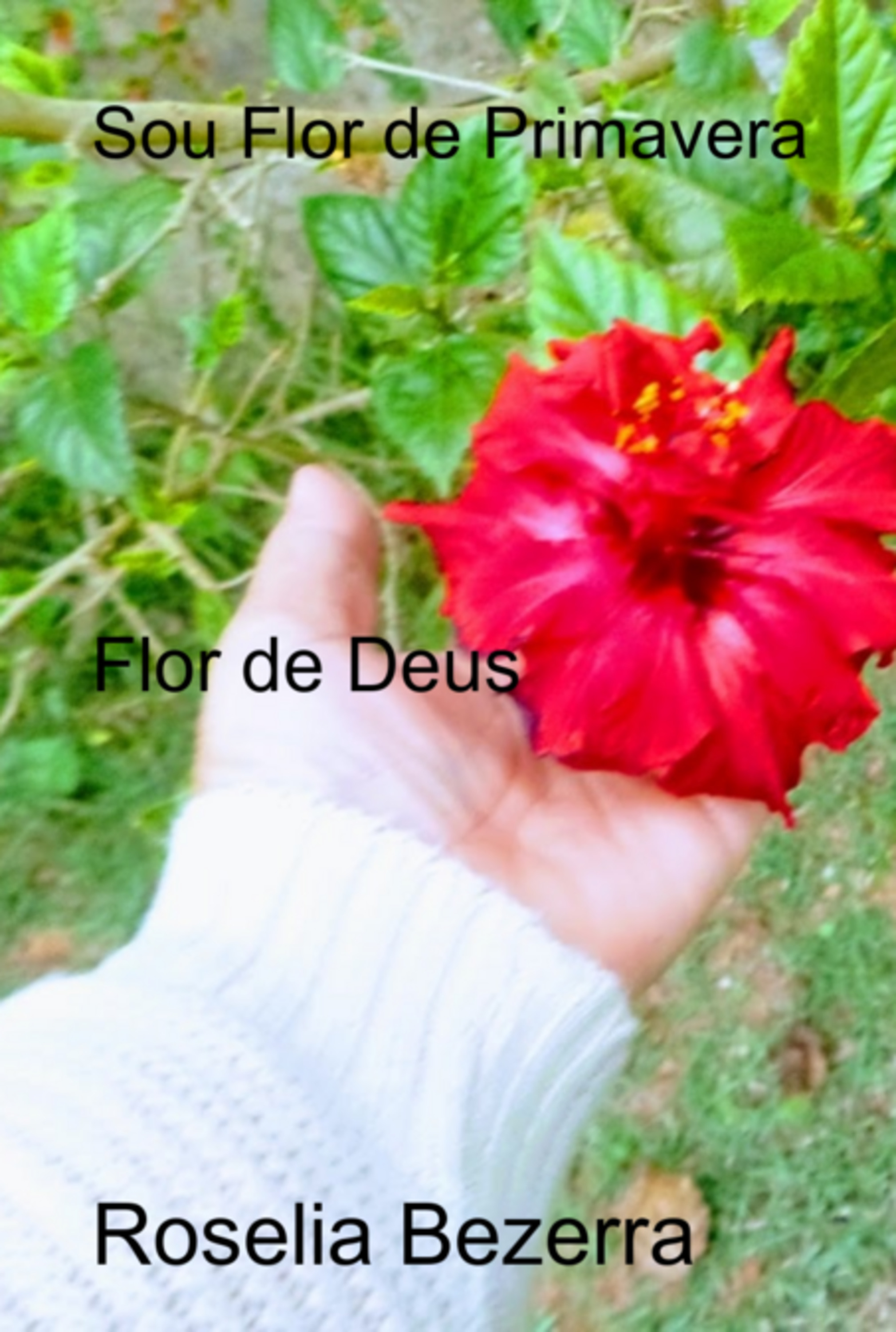 Sou Flor De Primavera