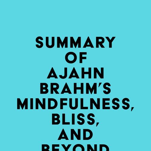 Summary of Ajahn Brahm's Mindfulness, Bliss, and Beyond