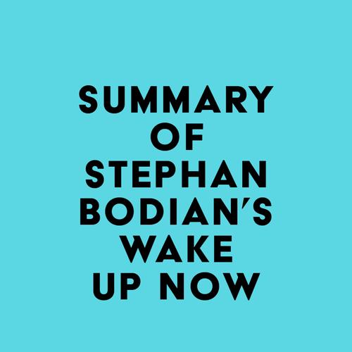 Summary of Stephan Bodian's Wake Up Now