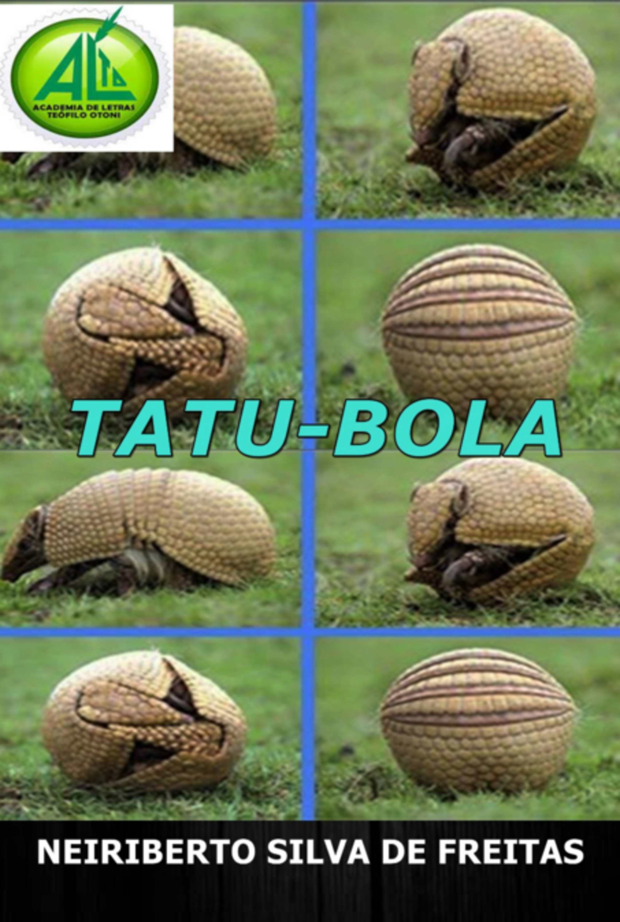 Tatu-bola