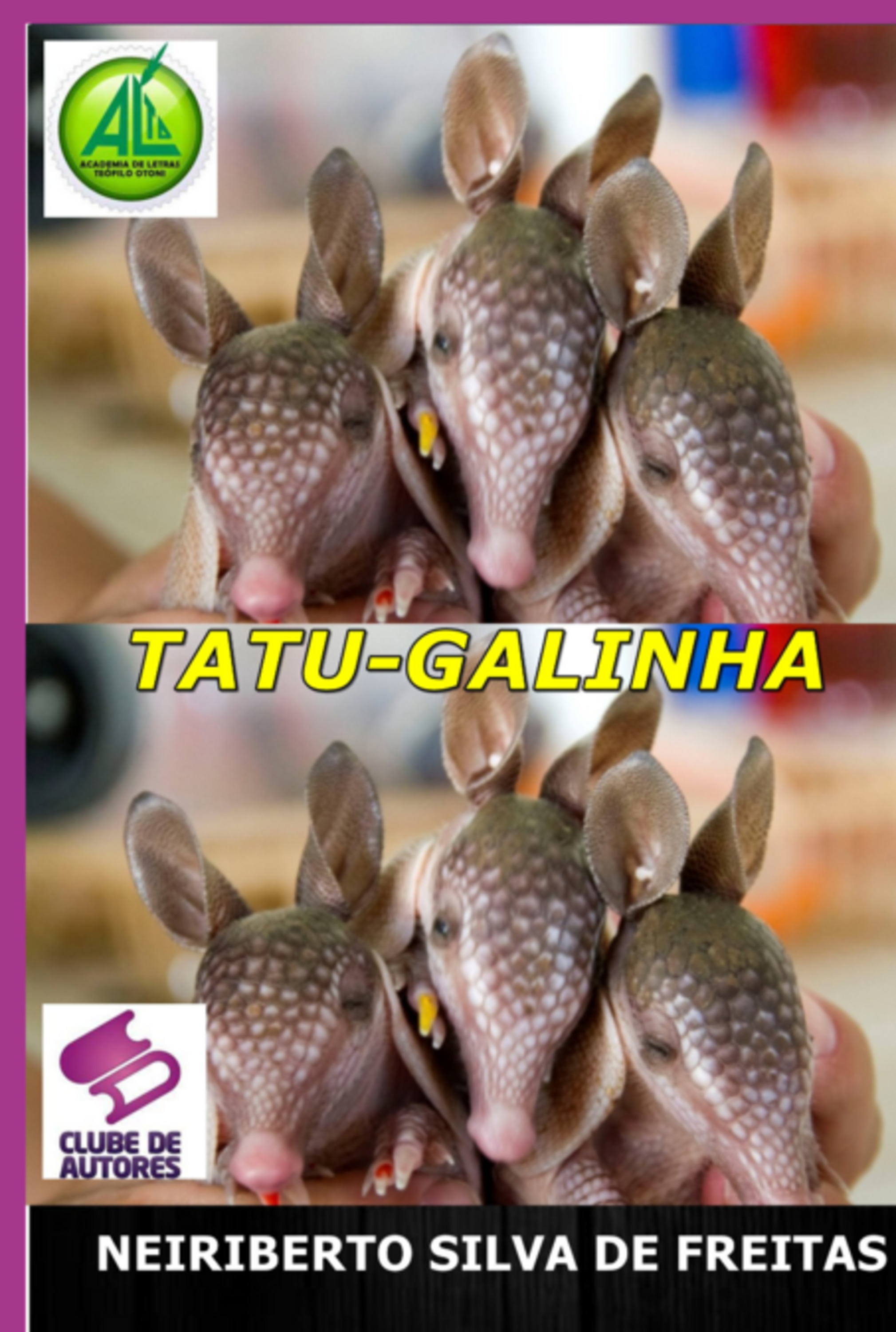 Tatu-galinha