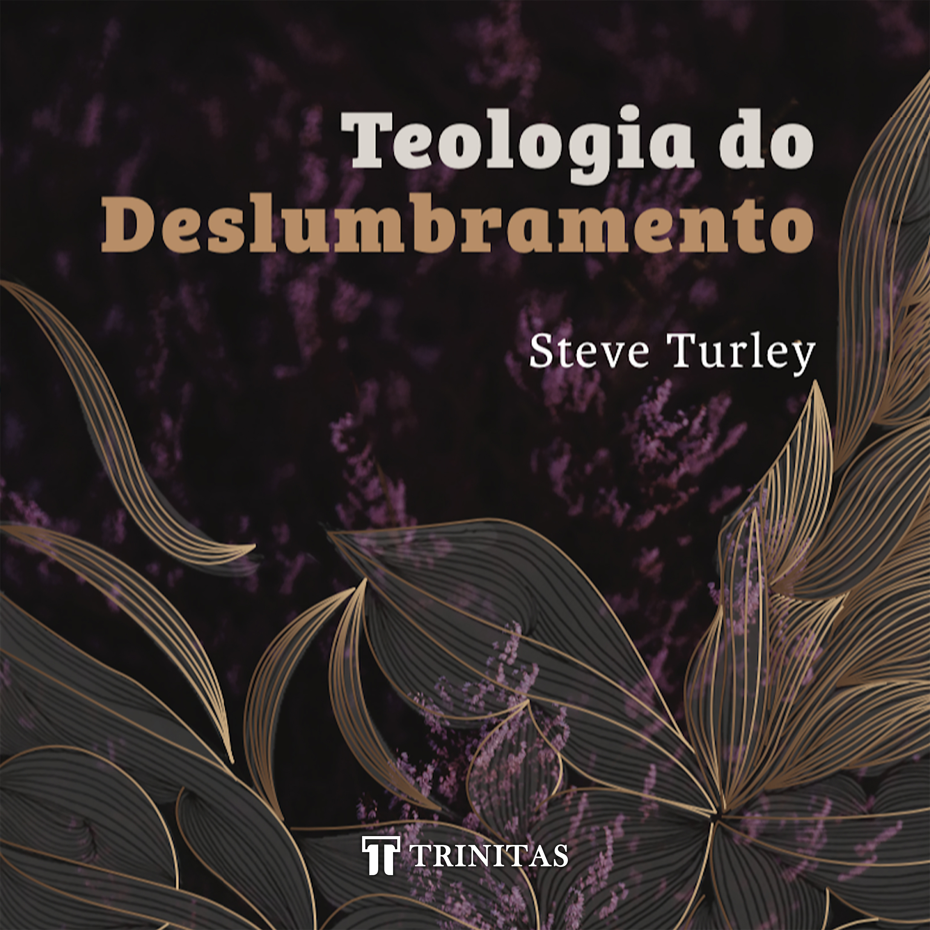 Teologia do Deslumbramento