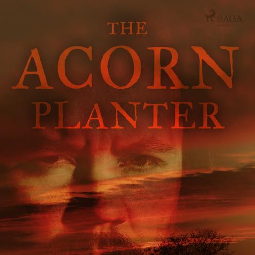 The Acorn Planter