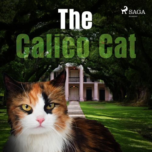 The Calico Cat