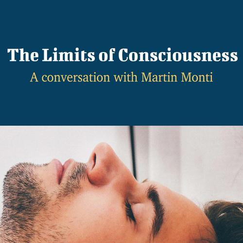 The Limits of Consciousness - A Conversation with Martin Monti