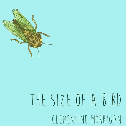 The Size of a Bird