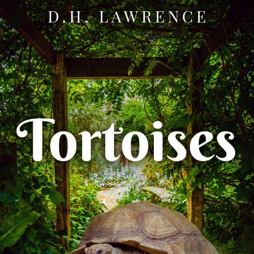 Tortoises