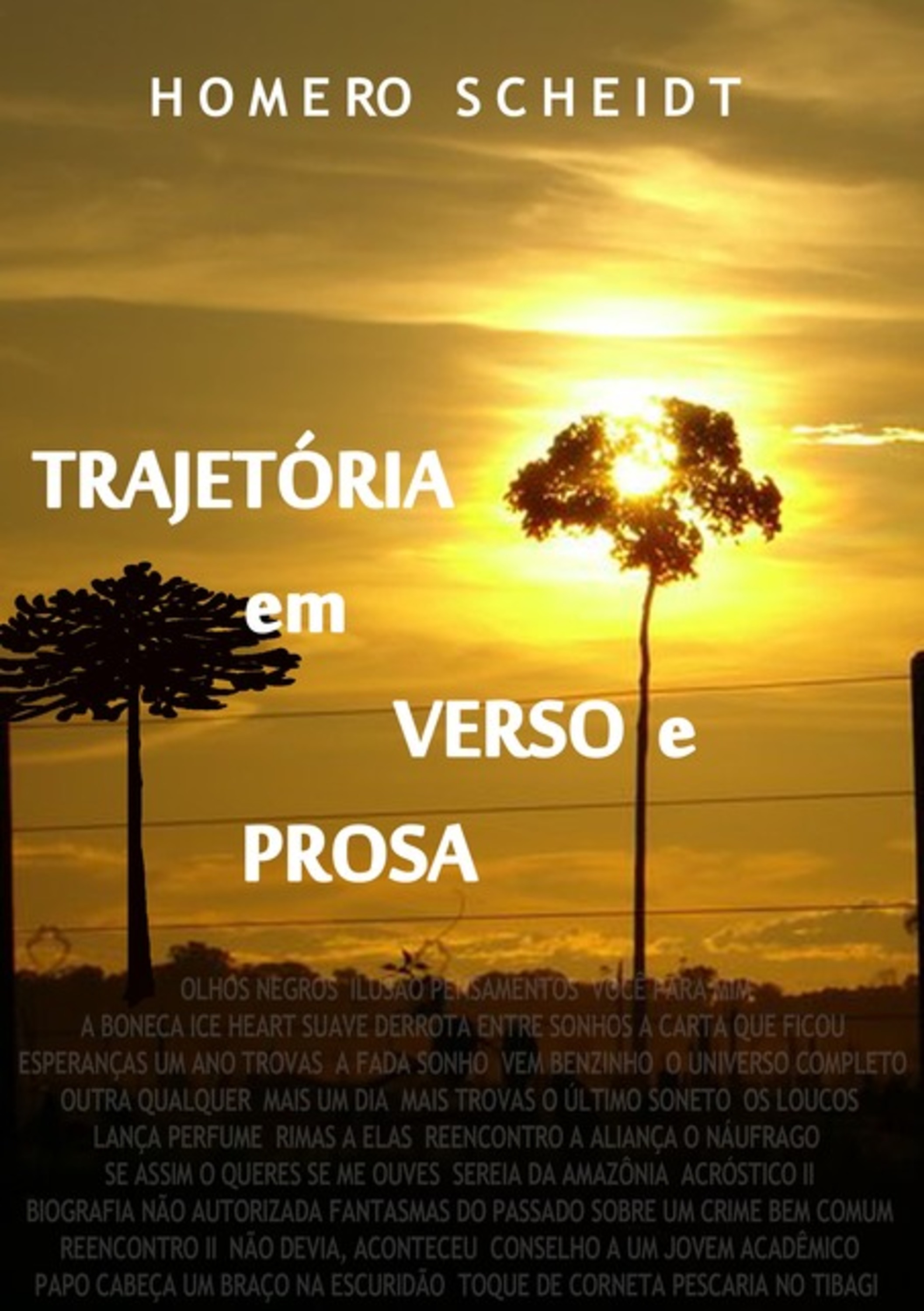 Trajetória Em Verso E Prosa