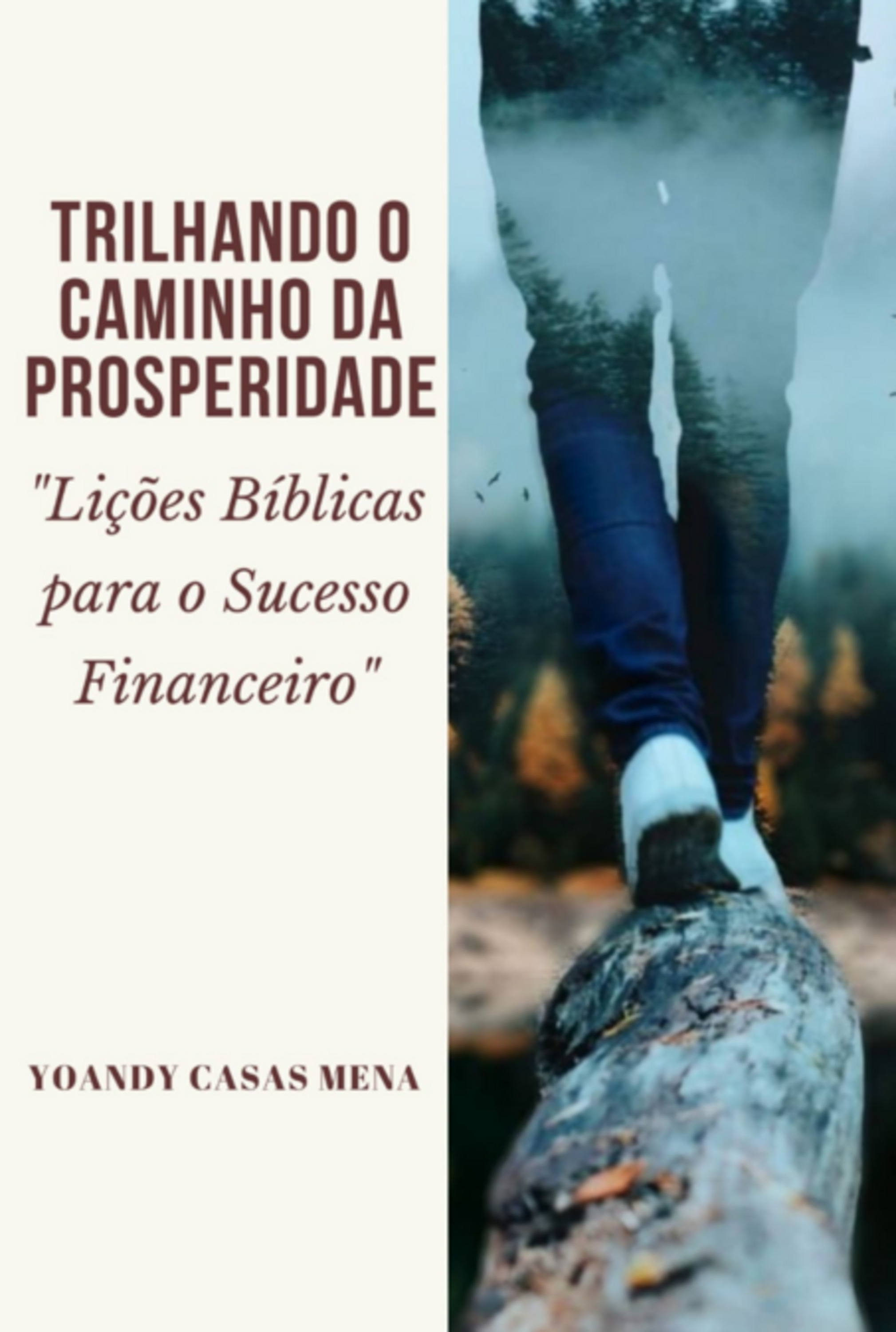 Trilhando O Caminho Da Prosperidade: 