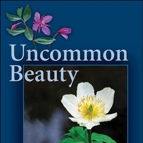 Uncommon Beauty