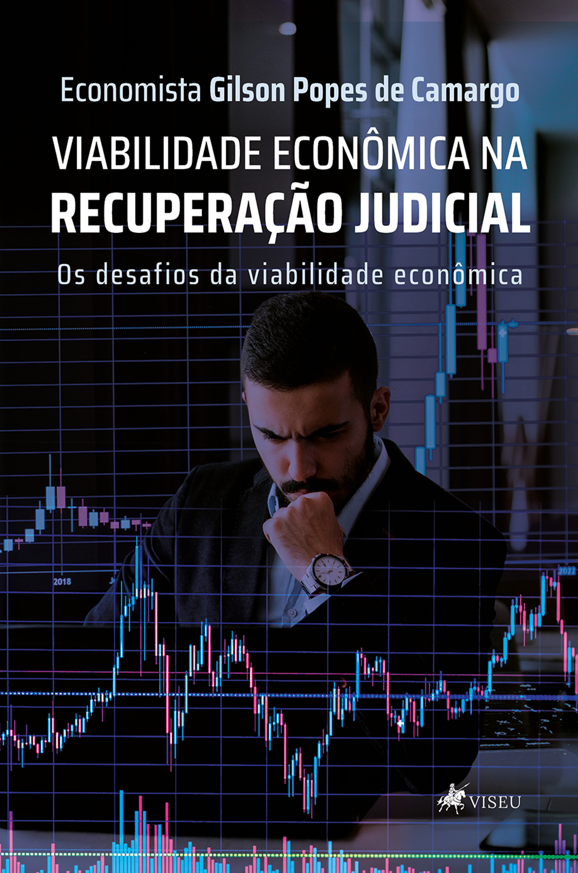 Viabilidade econômica na recuperação judicial