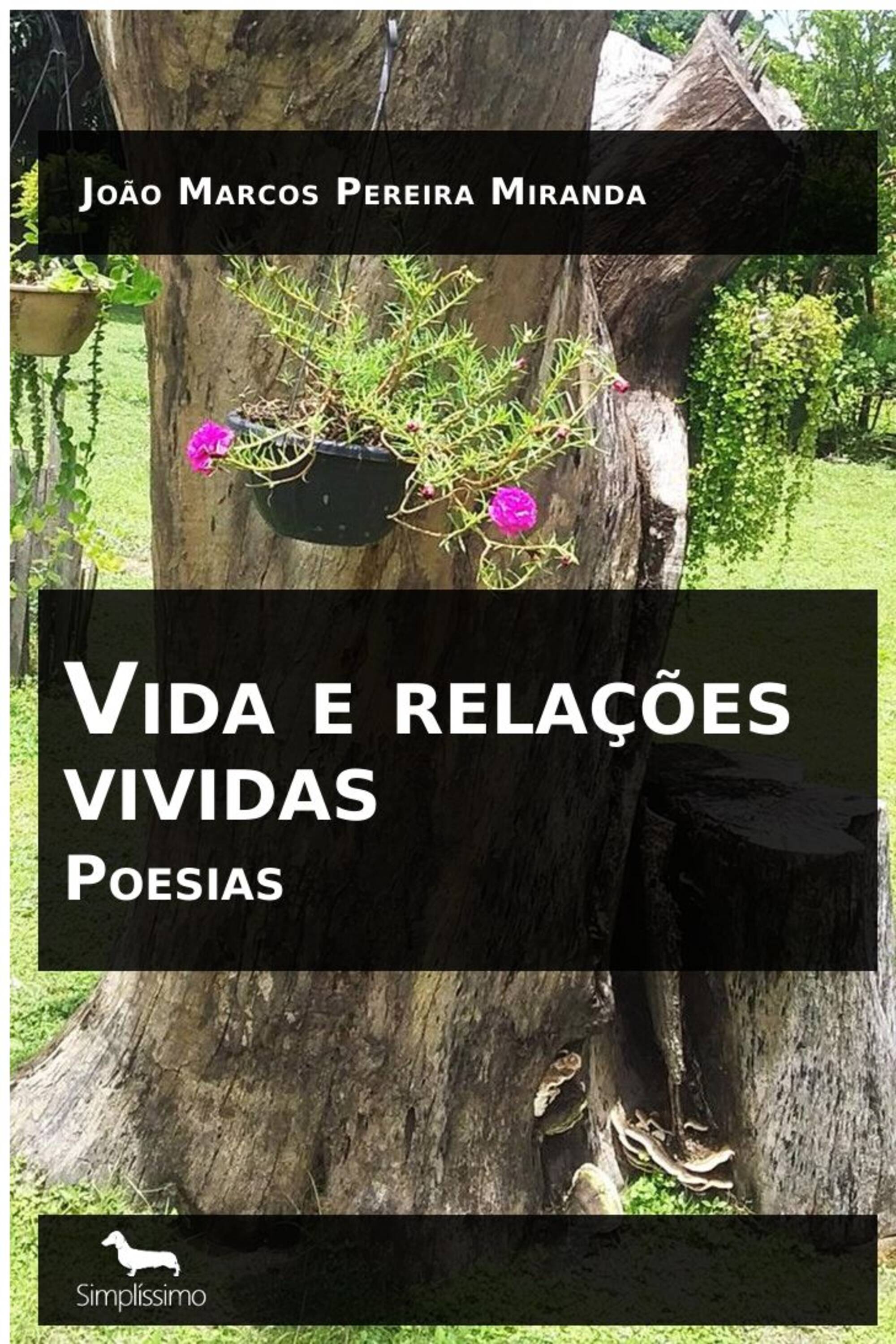 Vida e relações vividas