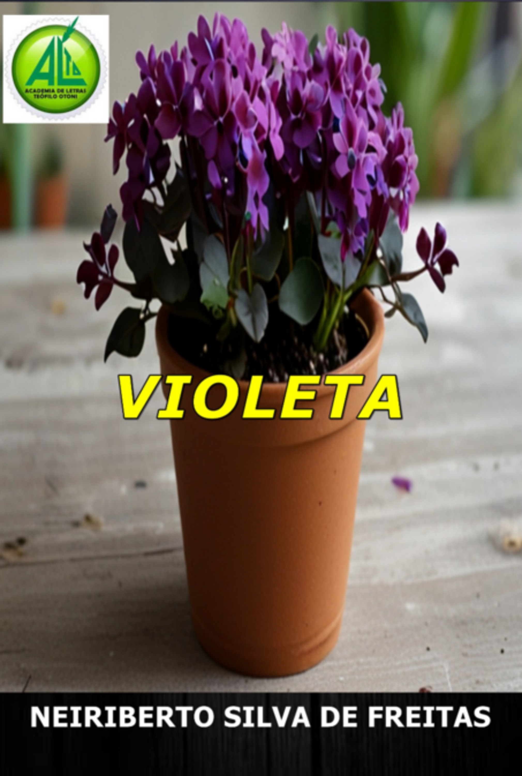 Violeta