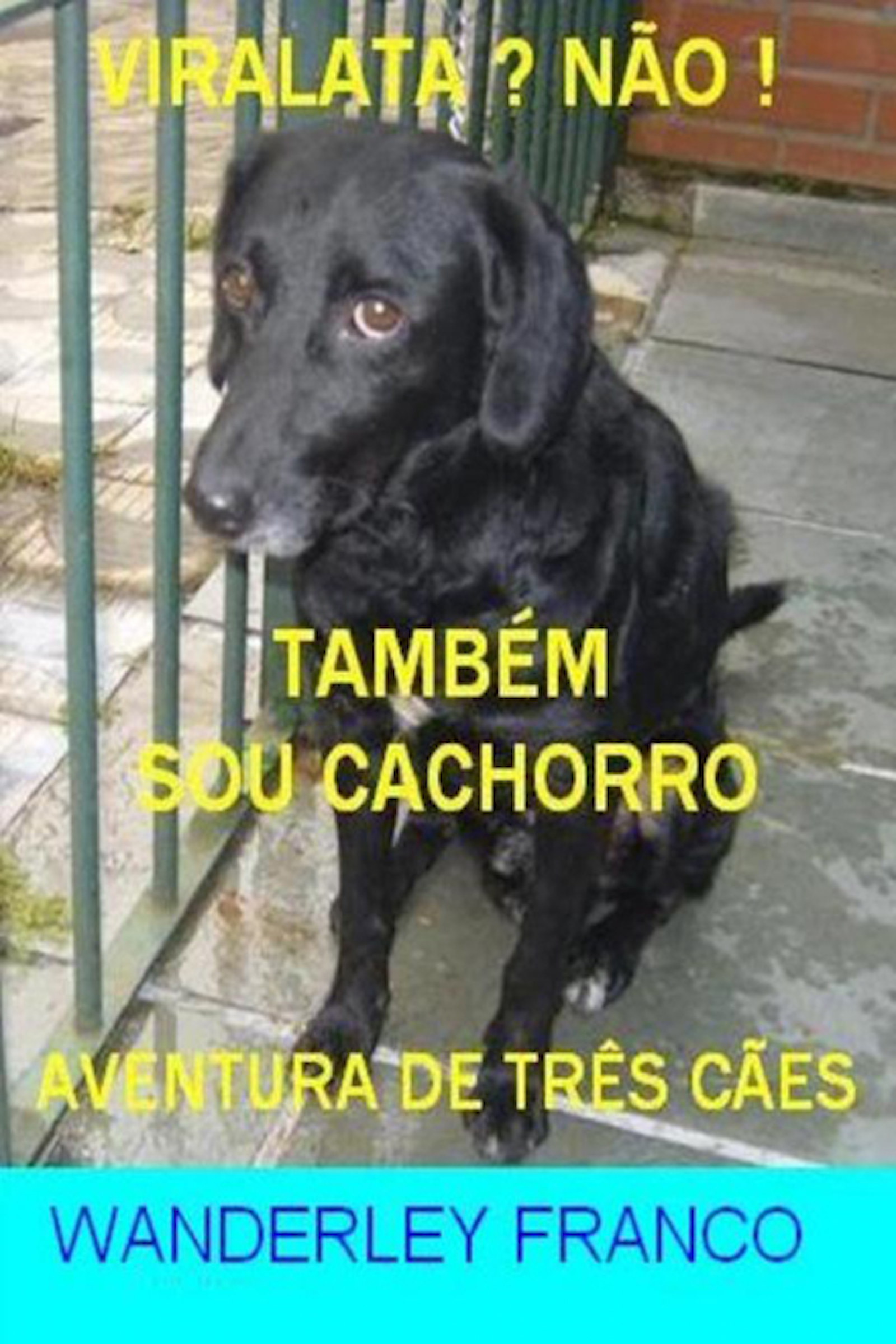 Vira-Lata? Não! Também Sou Cachorro