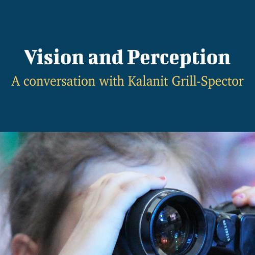 Vision and Perception - A Conversation with Kalanit Grill-Spector