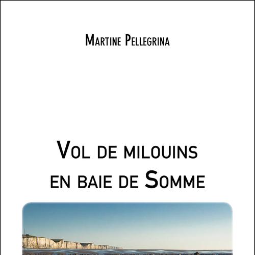 Vol de milouins en baie de Somme