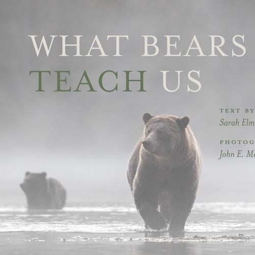 What Bears Teach Us