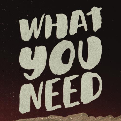 What You Need