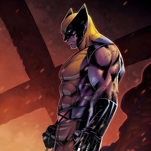 Wolverine's Secrets