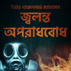 জ্বলন্ত অপরাধবোধ - ২য় অধ্যায়