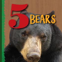 5 Bears