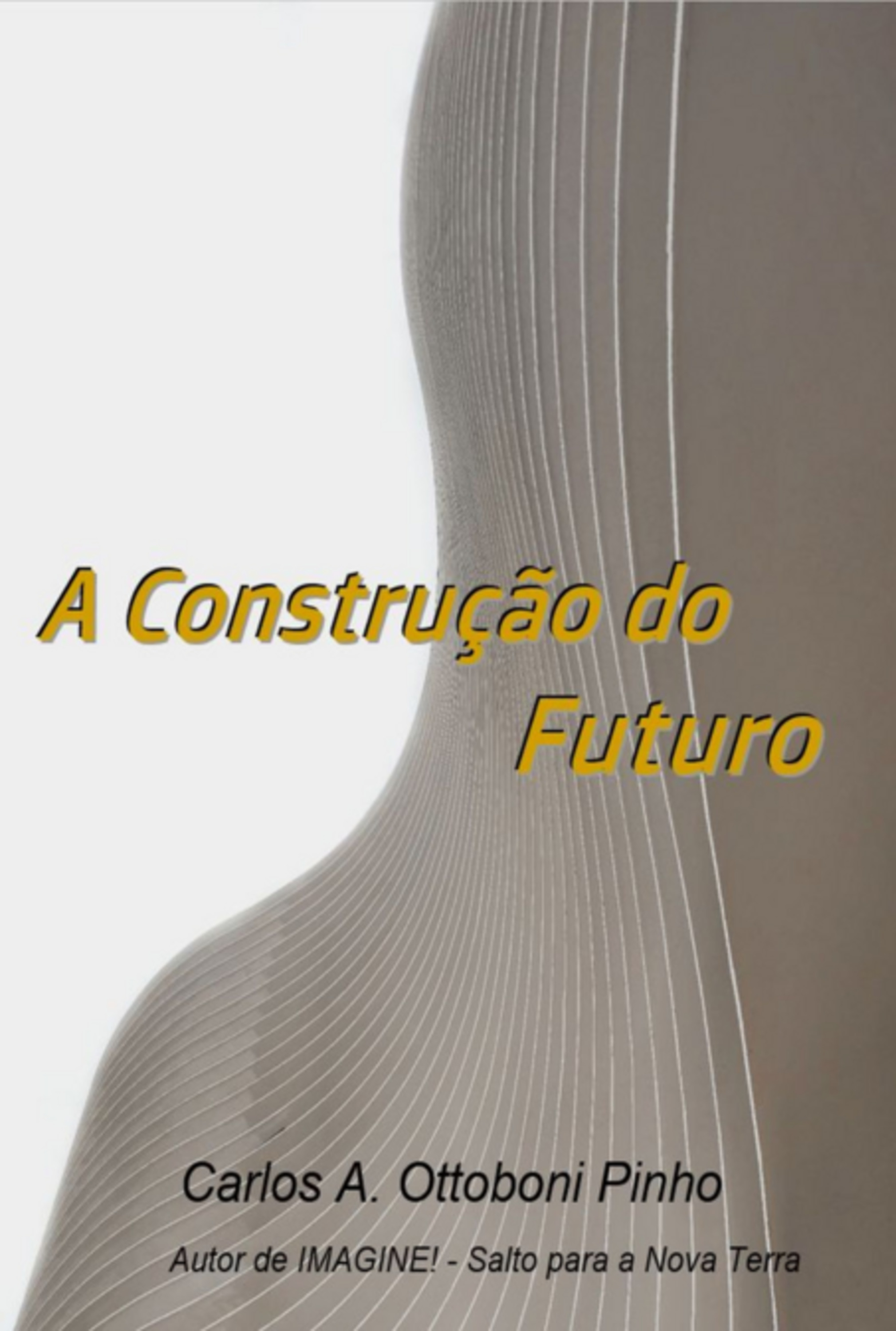 A Construção Do Futuro