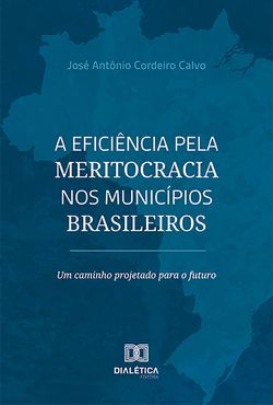 A eficiência pela meritocracia nos municípios brasileiros